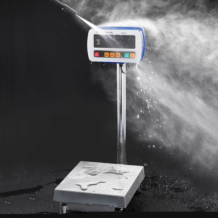 艾安得SW-150KL防塵防水平臺(tái)秤SW系列